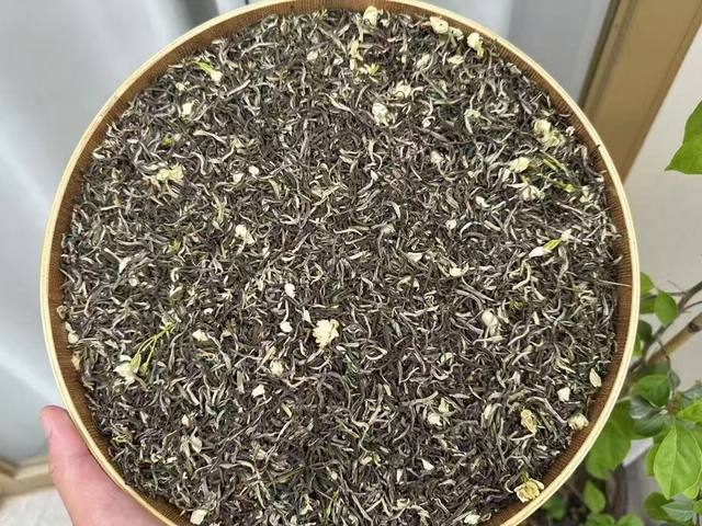 特香小白芽